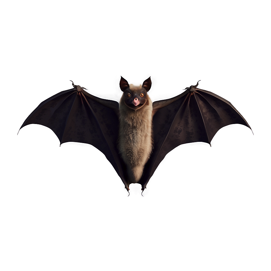 Realistic Bats Illustration Png 05232024