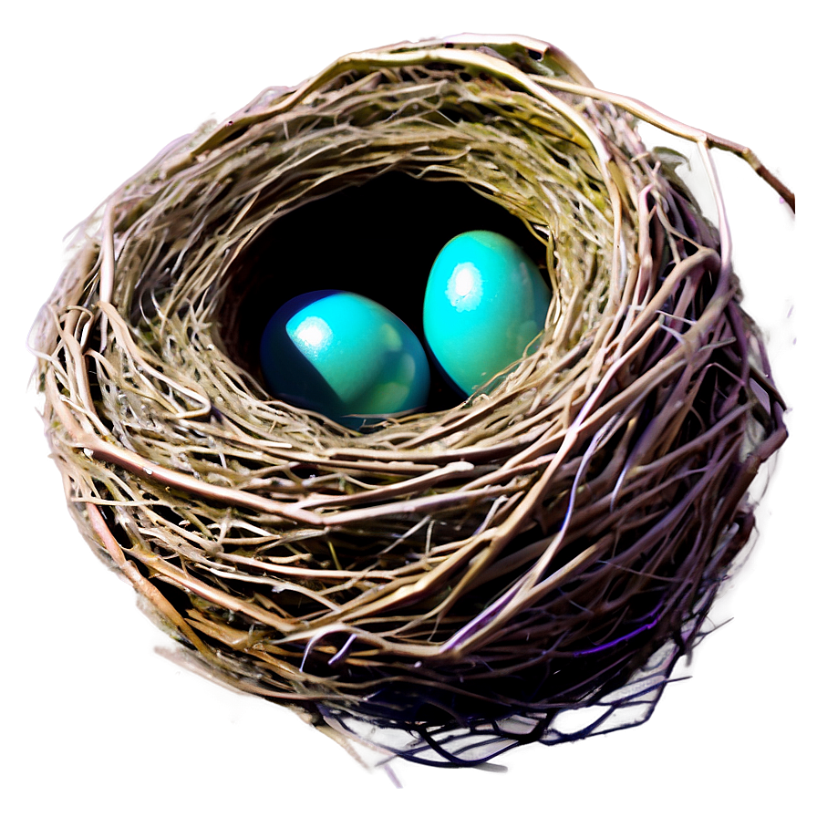 Realistic Bird Nest Png Nvl