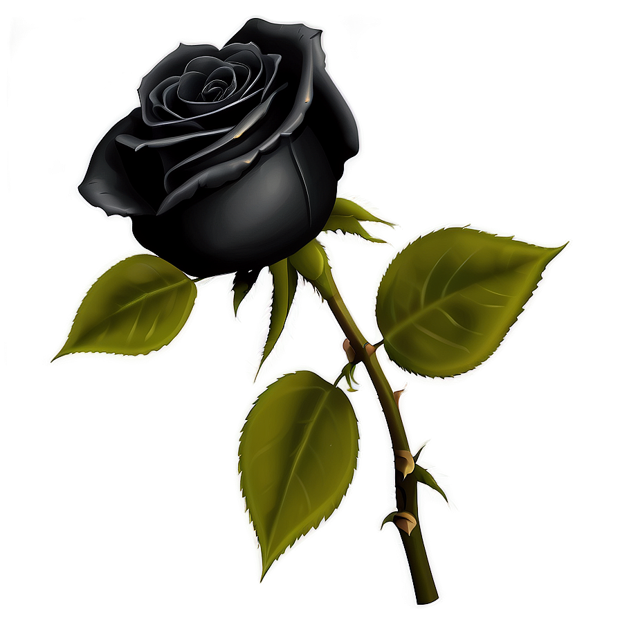 Realistic Black Roses Png Mbn