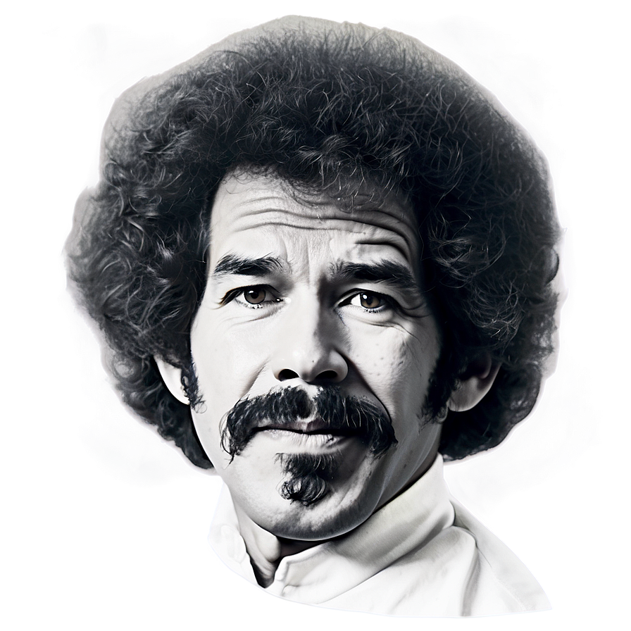 Realistic Bob Ross Hair Png 20