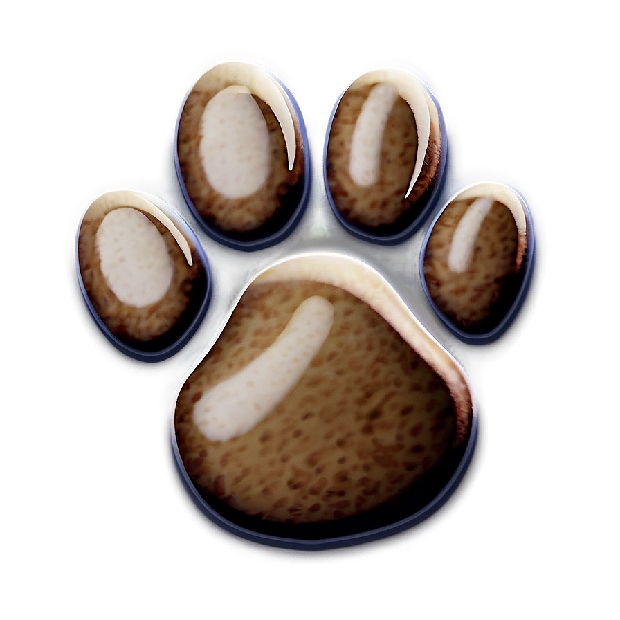 Realistic Cat Paw Print Png 06272024