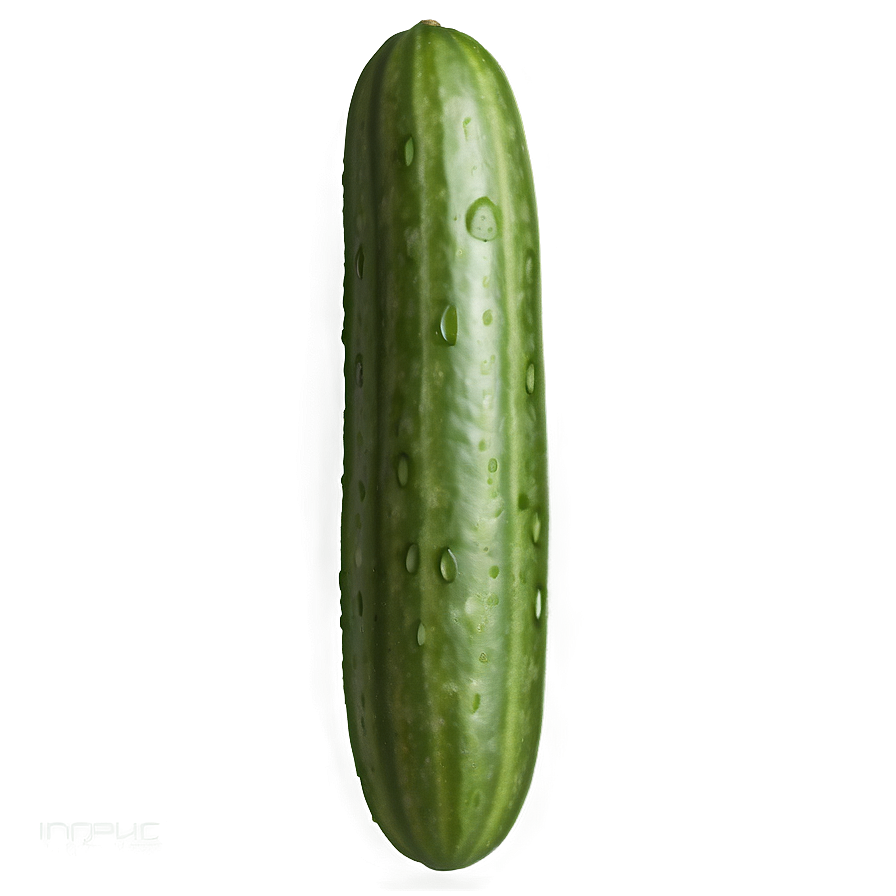 Realistic Cucumber Png 21