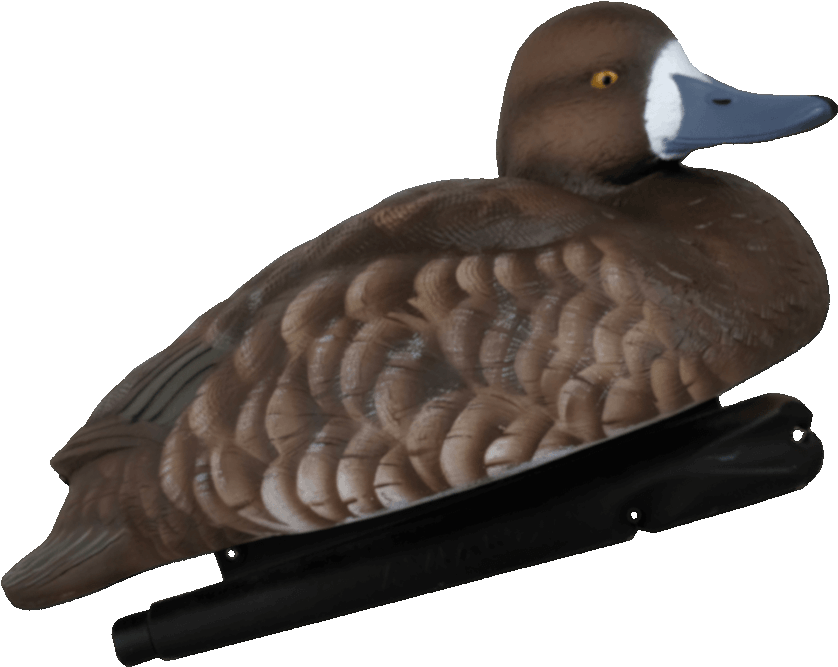 Realistic Duck Decoy Profile