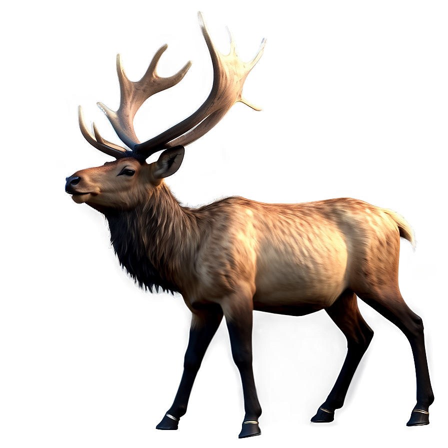 Realistic Elk Png Ysm7