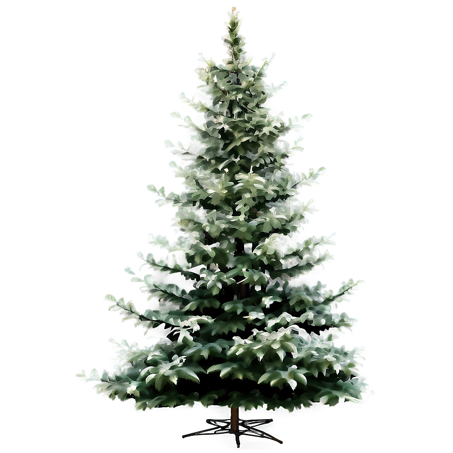 Realistic Evergreen Tree Png Iek