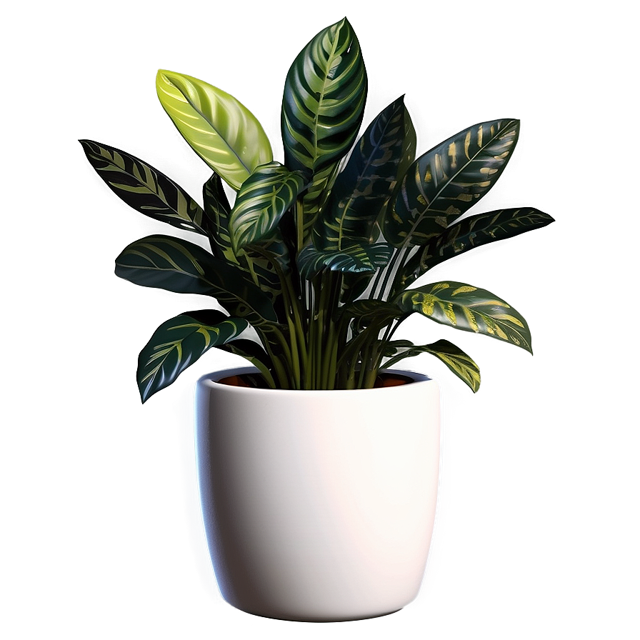 Realistic Floor Plant Png Bfl