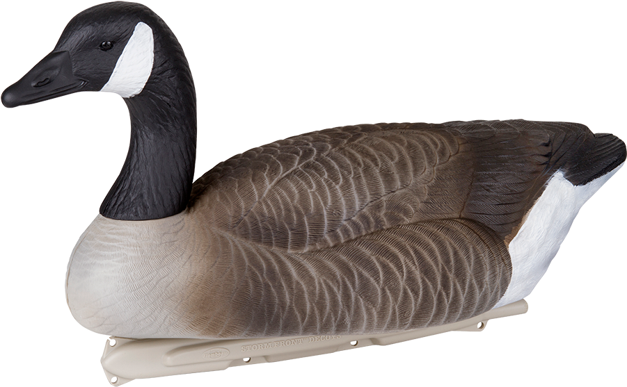 Realistic Goose Decoy Profile