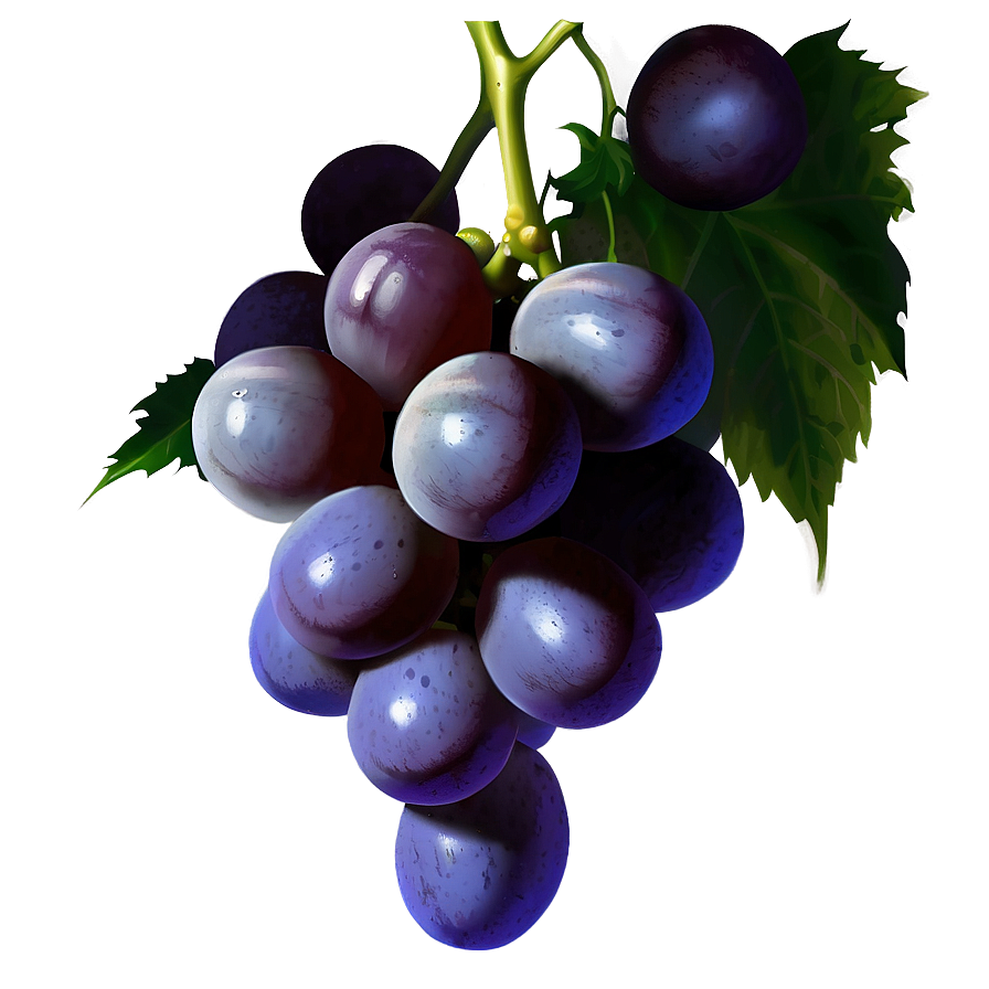 Realistic Grapes Png 80