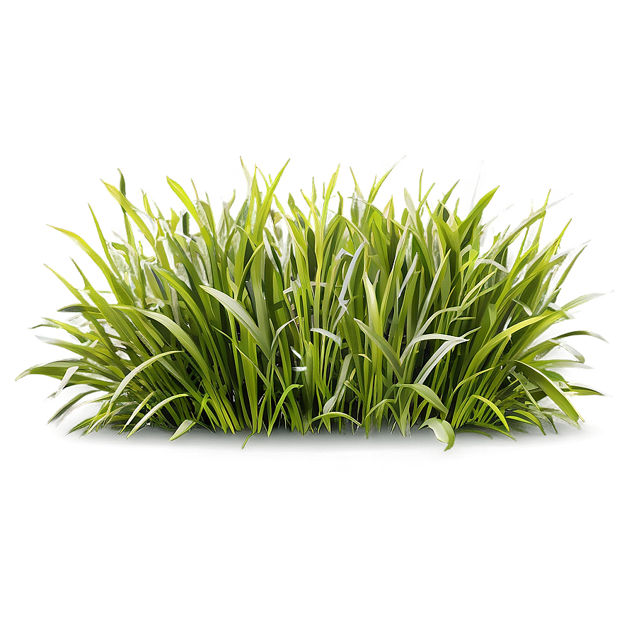 Realistic Grass Clipart Png 24