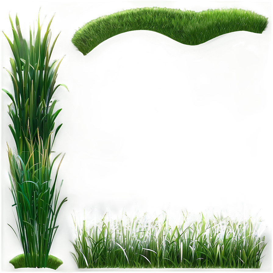 Realistic Green Grass Png 46