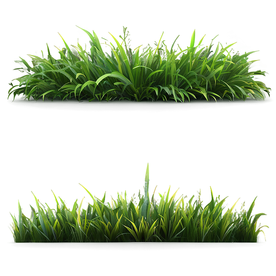 Realistic Green Grass Png Cym77