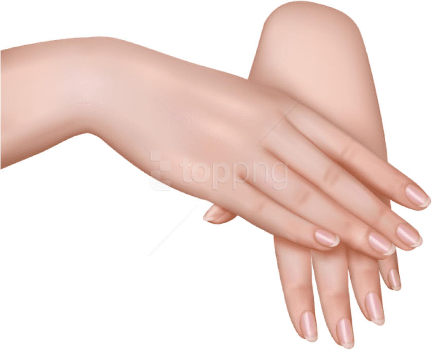 Realistic Hand Clipart