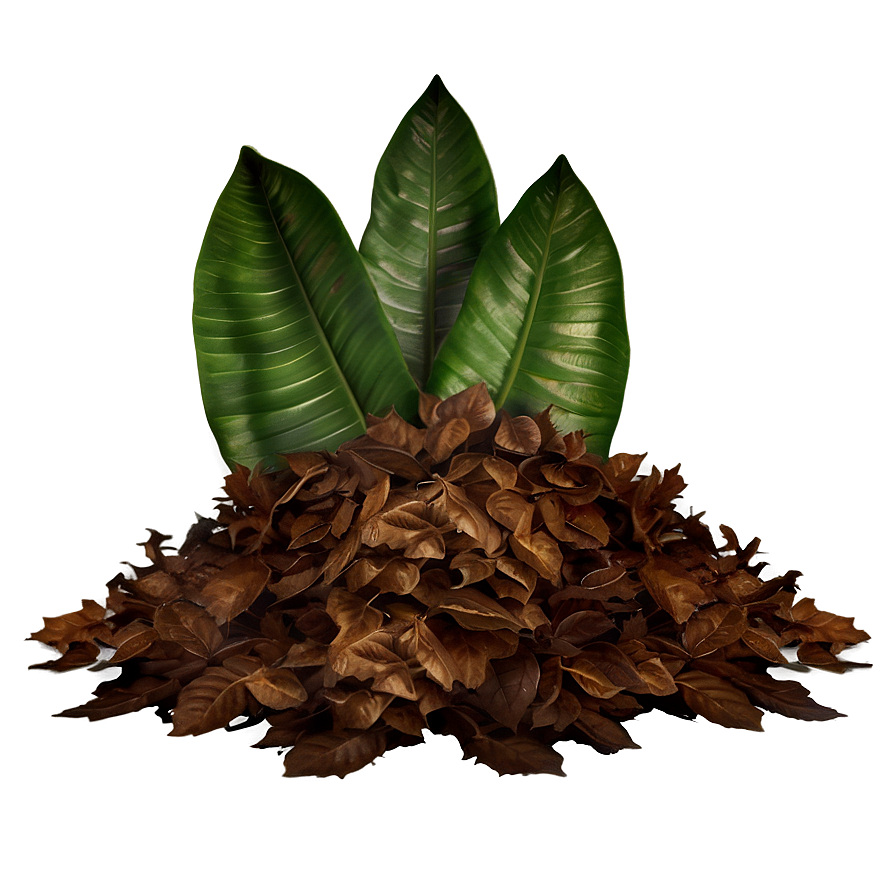 Realistic Leaf Pile Png Llv84