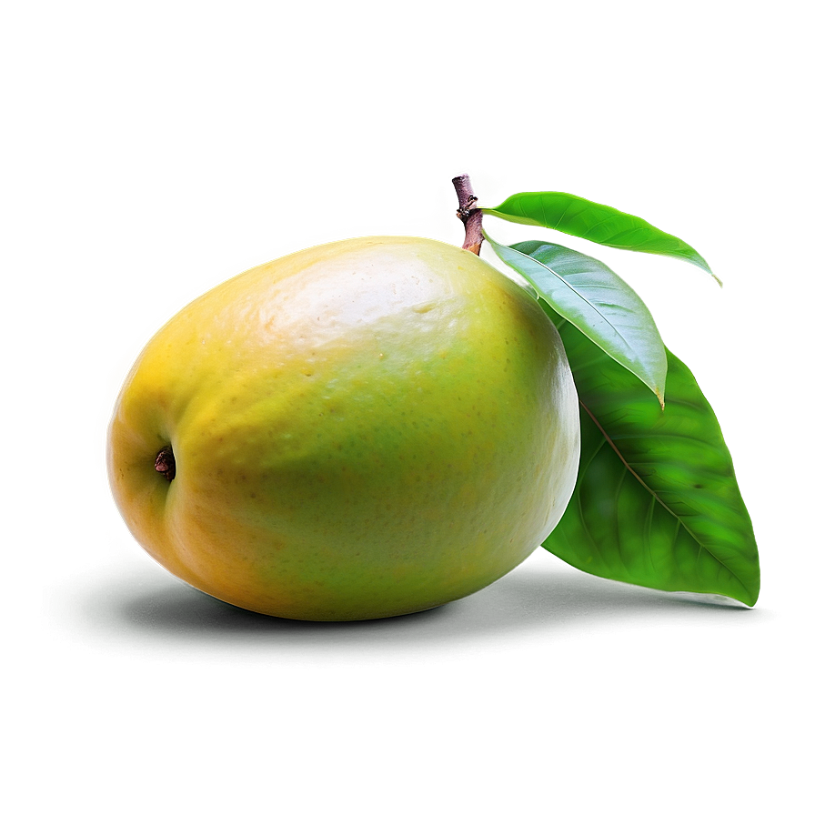 Realistic Mango Png 75