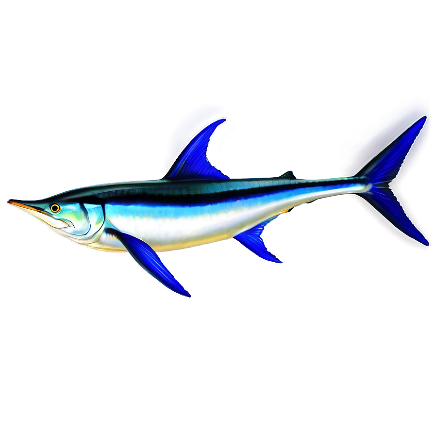 Realistic Marlin Drawing Png Uap71