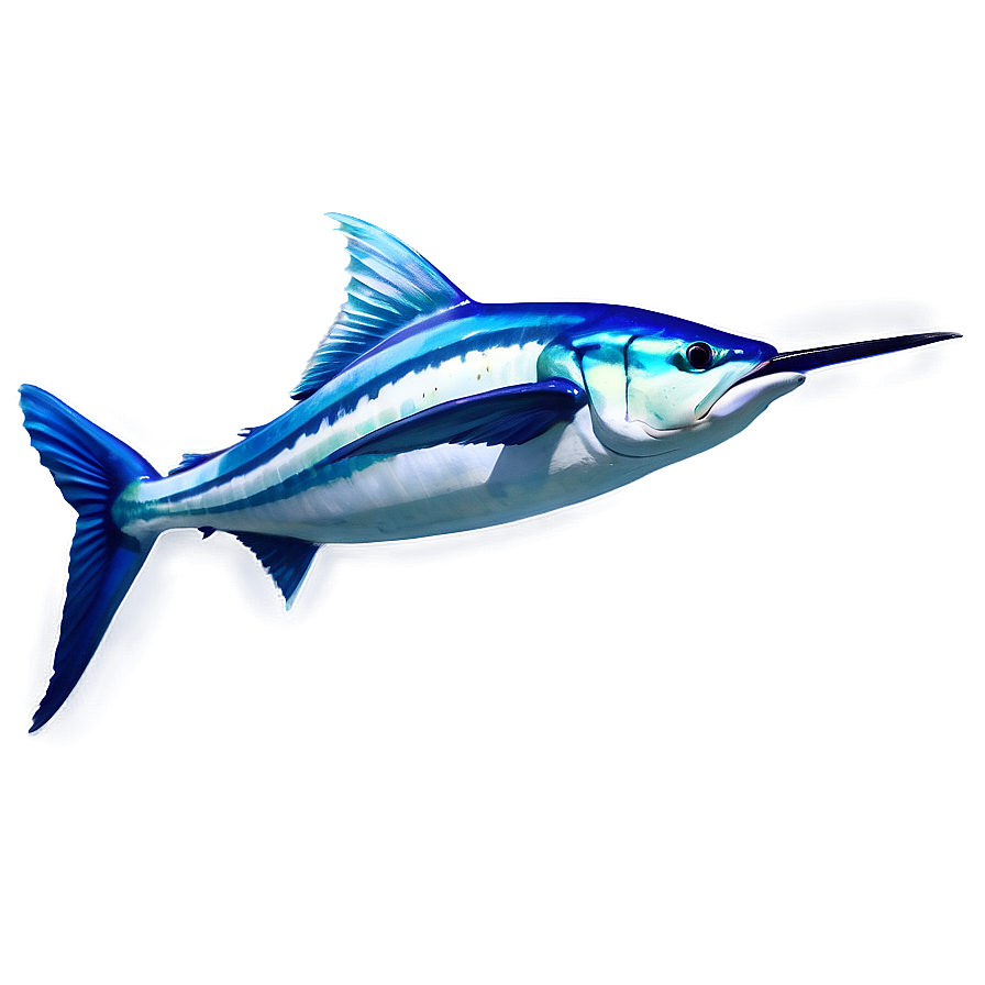 Realistic Marlin Drawing Png Vsa27