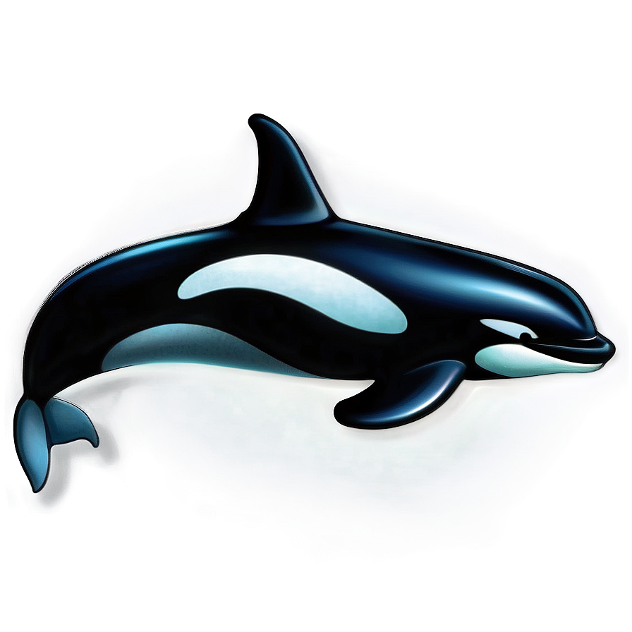 Realistic Orca Whale Drawing Png Sic77