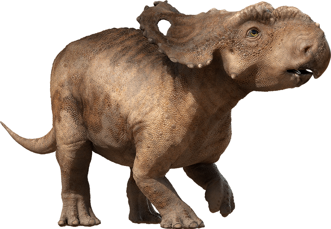 Realistic Pachycephalosaurus Render