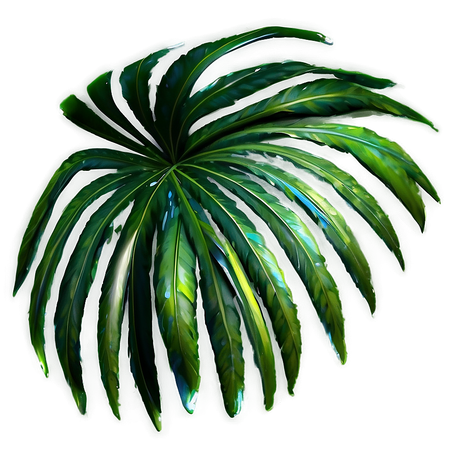 Realistic Palm Leaves Png 05252024