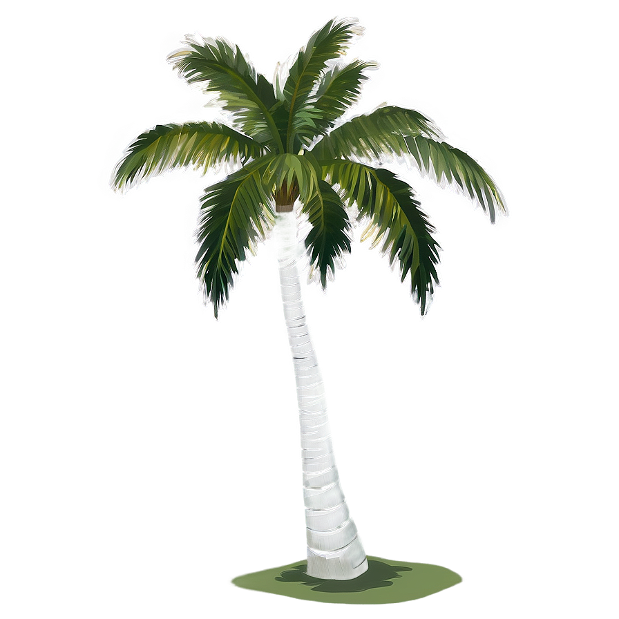 Realistic Palm Tree Silhouette Png Tep