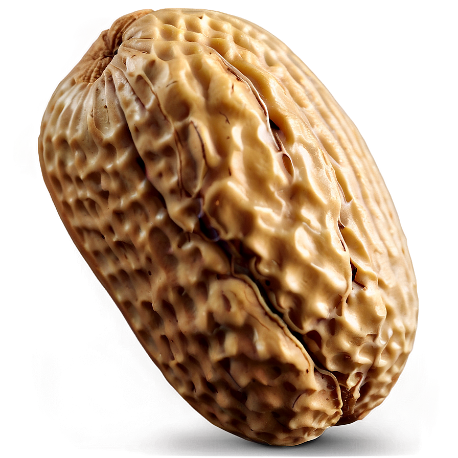 Realistic Peanut Image Png 05252024