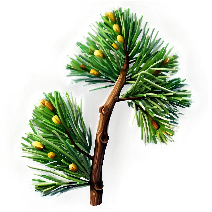 Realistic Pine Branch Png Mfq