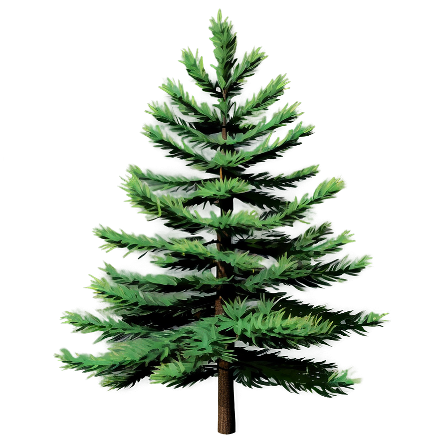 Realistic Pine Trees Png 05252024