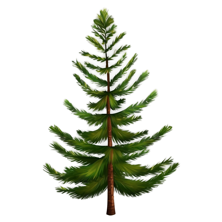 Realistic Pine Trees Png 29