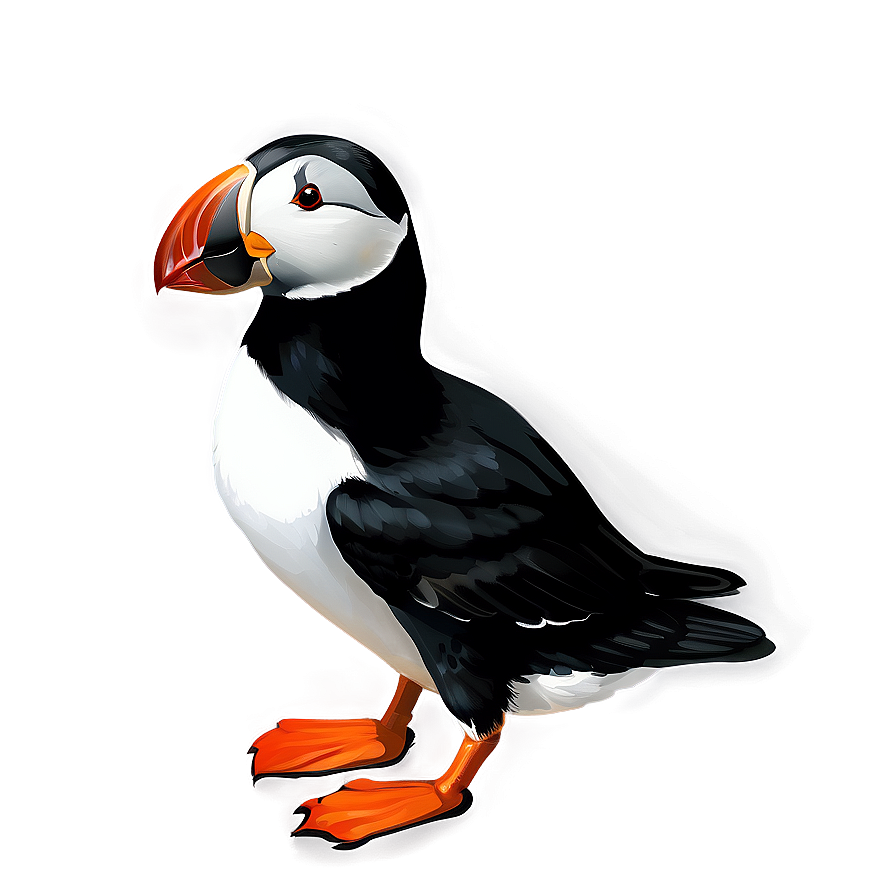 Realistic Puffin Bird Png 95