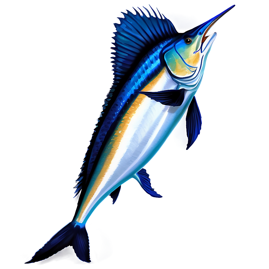 Realistic Sailfish Graphic Png 06262024