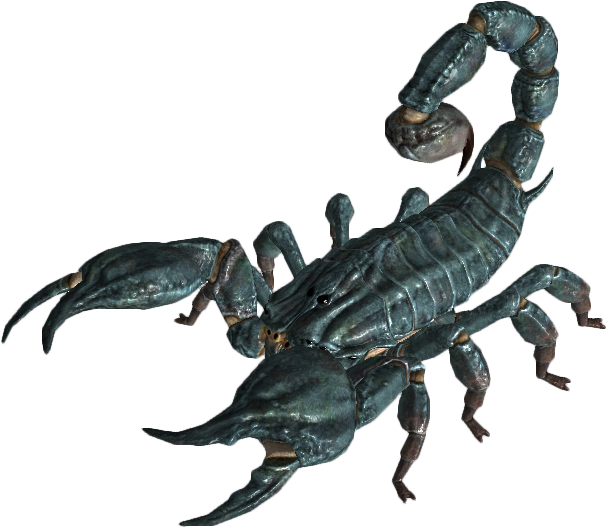 Realistic Scorpion Model