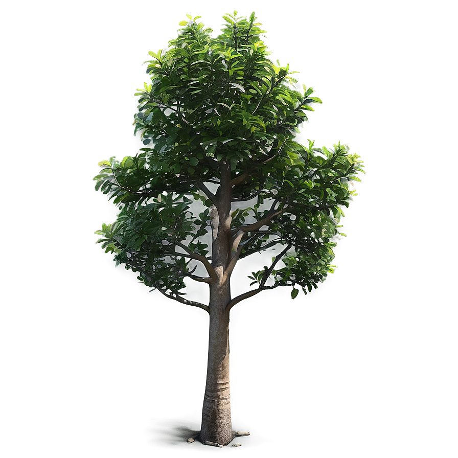 Realistic Small Tree Png Gbv88