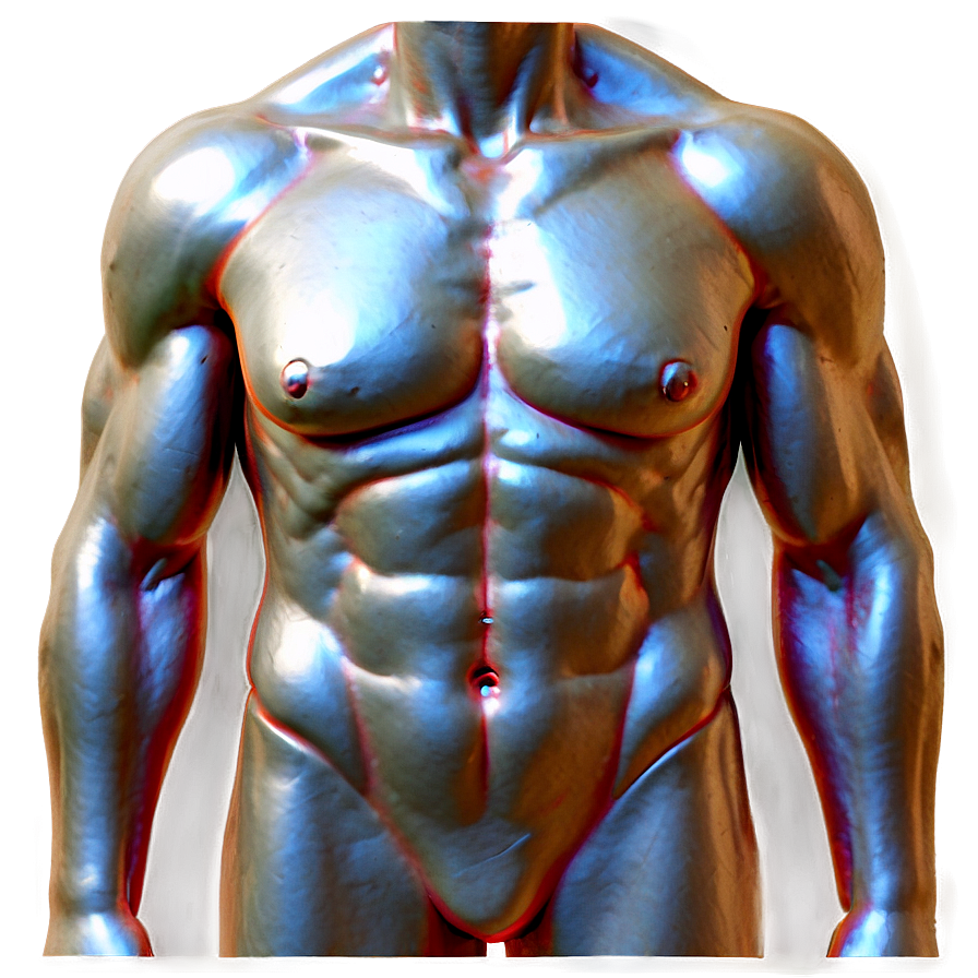 Realistic Torso Sculpture Png 06282024