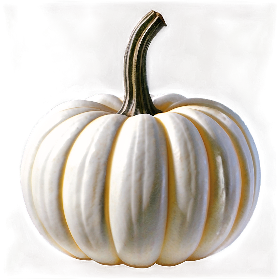 Realistic White Pumpkin Png 22