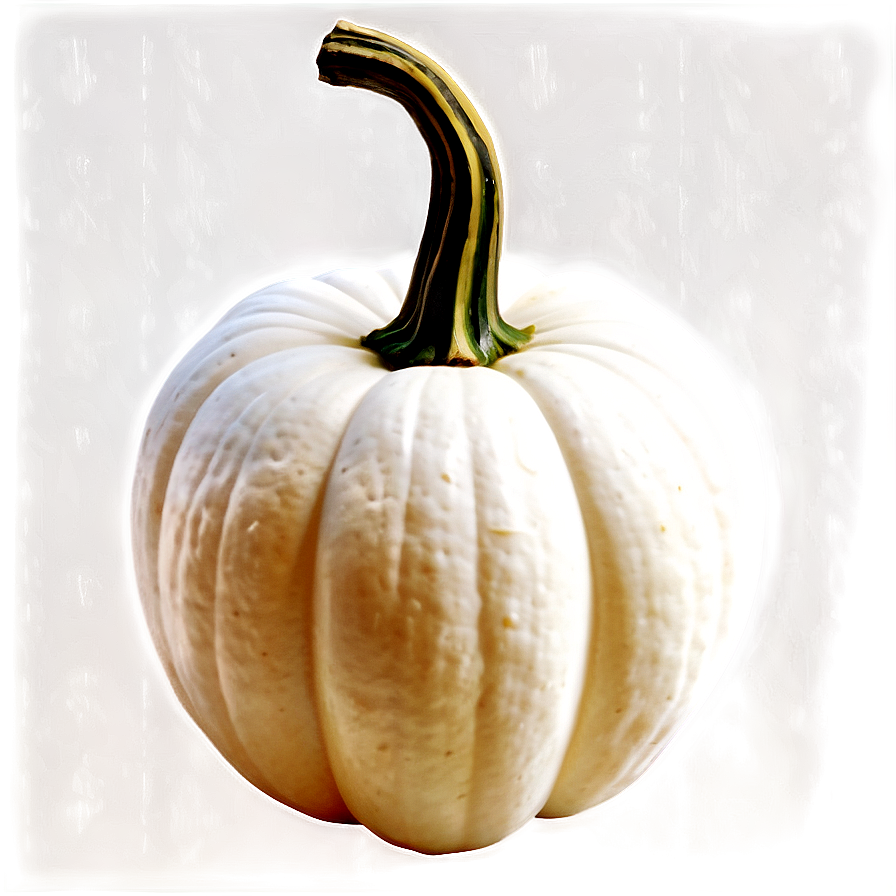 Realistic White Pumpkin Png Lme