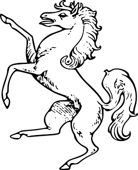 Rearing Blackand White Horse Illustration