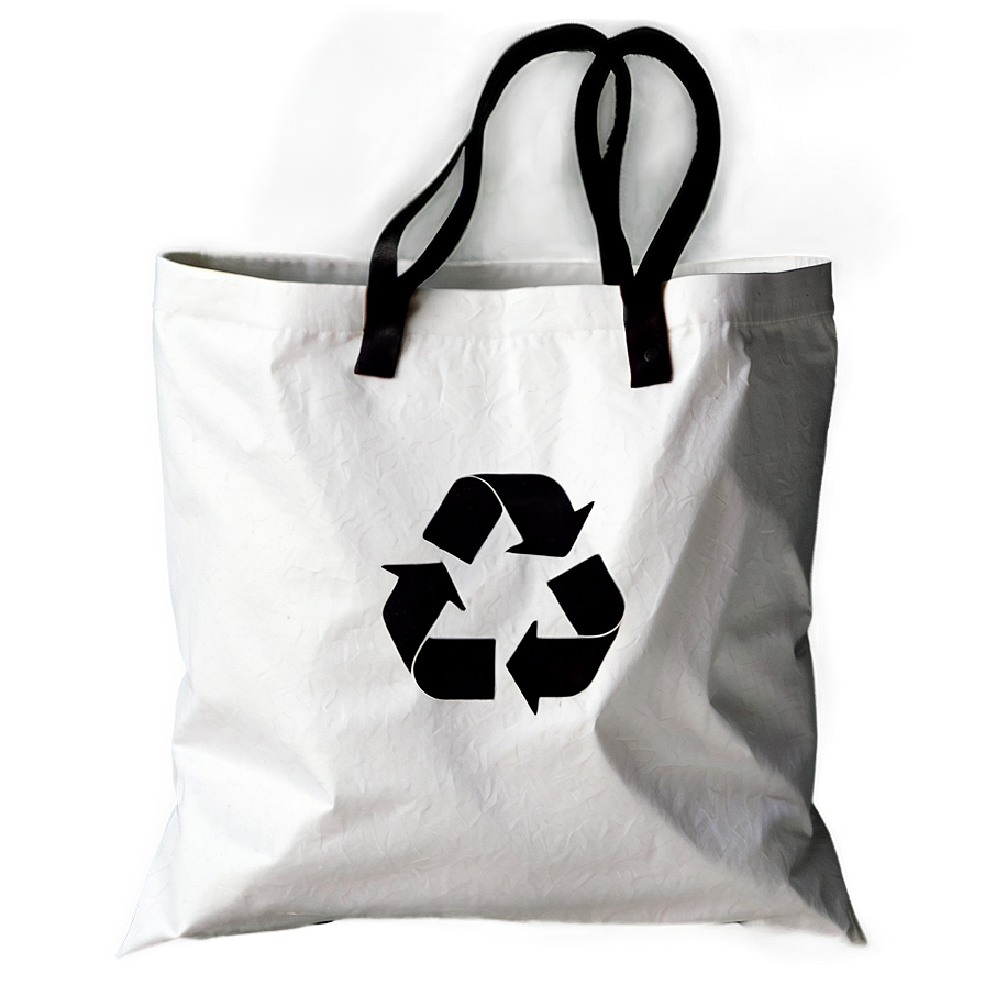 Recycle Bag Icon Png 06252024