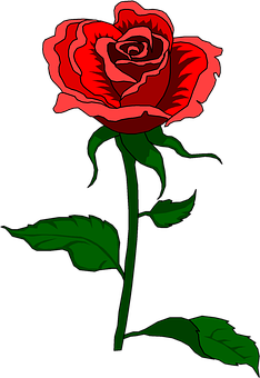 Red And Black Rose Illustration