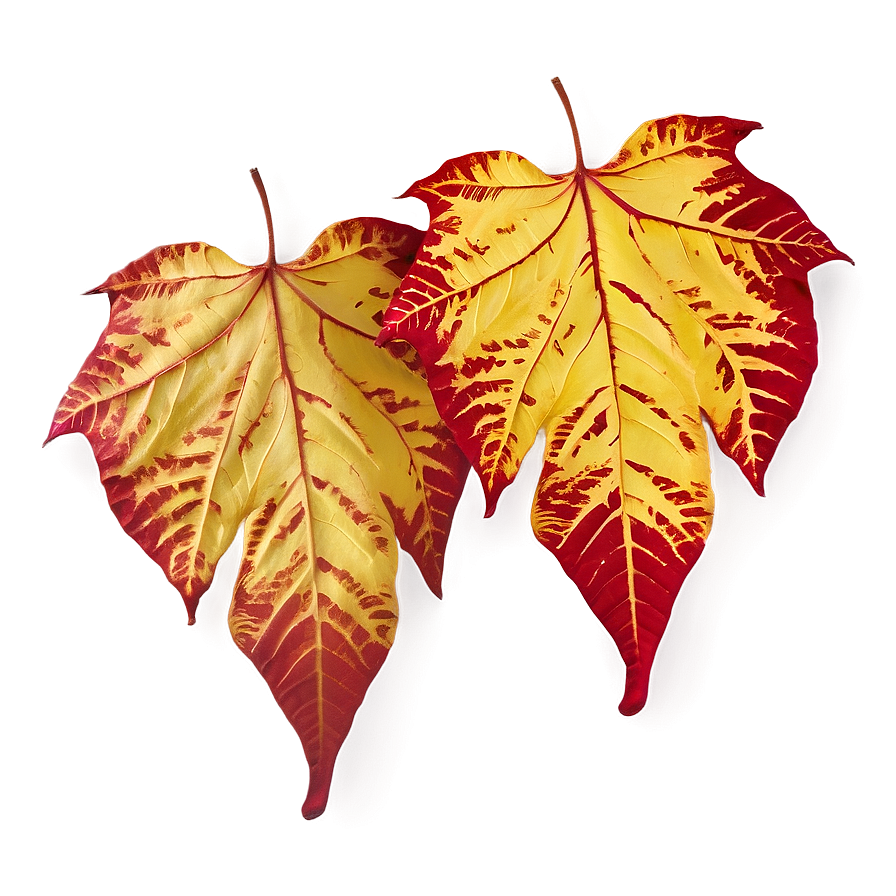 Red And Yellow Fallen Leaves Png Ohu51