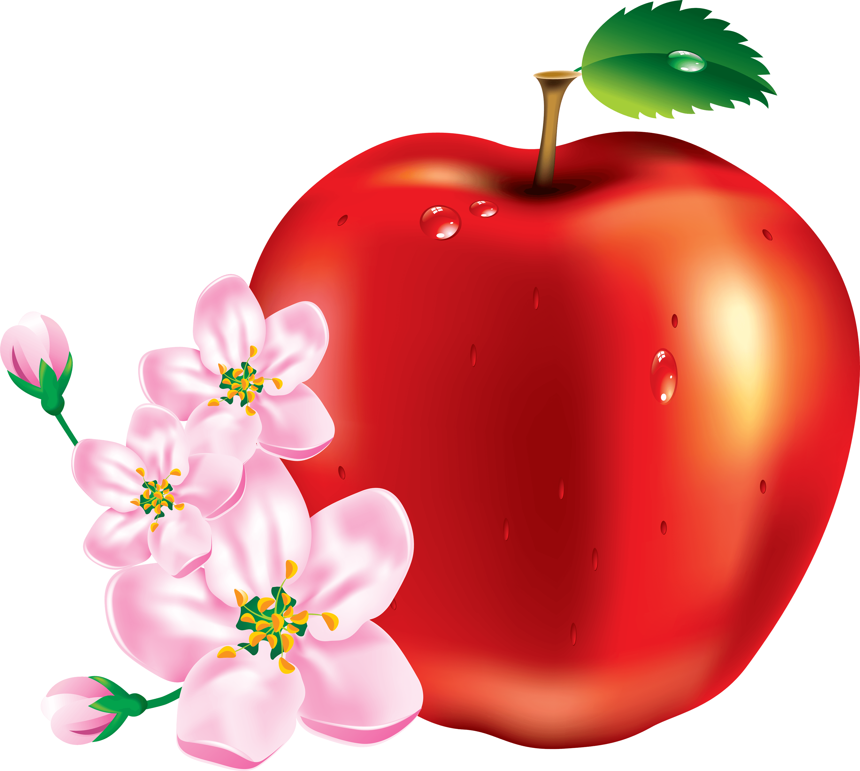 Red Apple With Blossoms