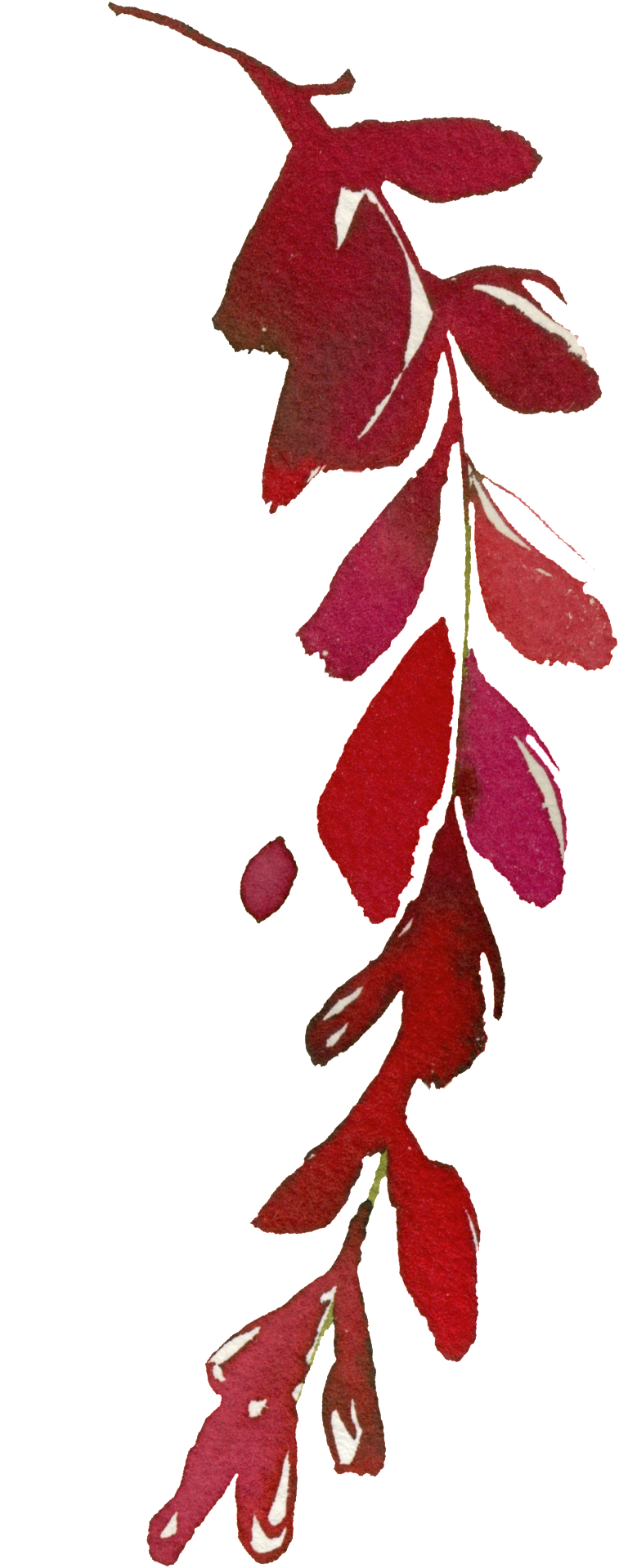 Red Autumn Leaves Illustration