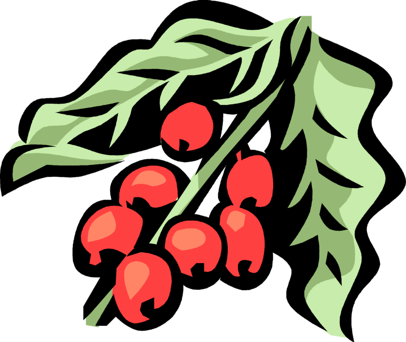 Red Beans Illustration