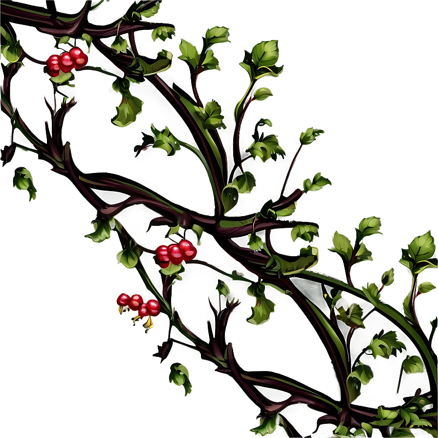 Red Berries Twining Vine Illustration