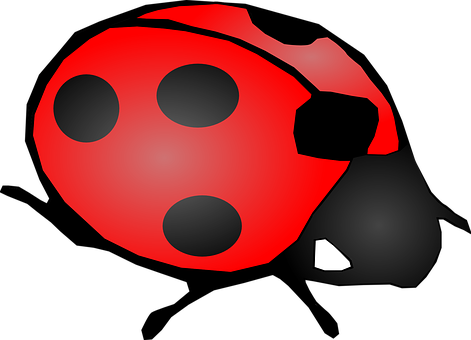 Red Black Ladybug Illustration