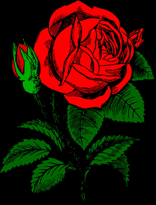 Red Black Rose Illustration