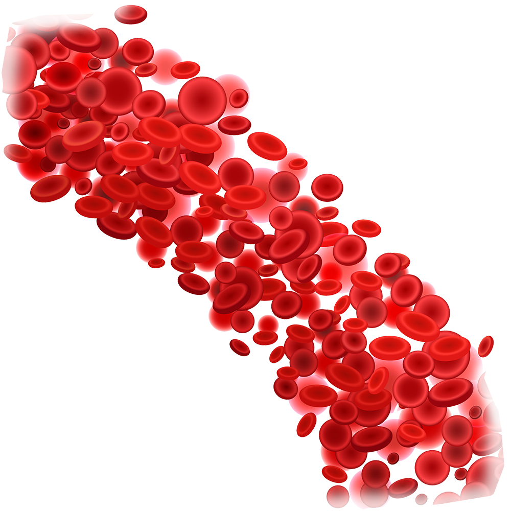 Red Blood Cells Cluster.png