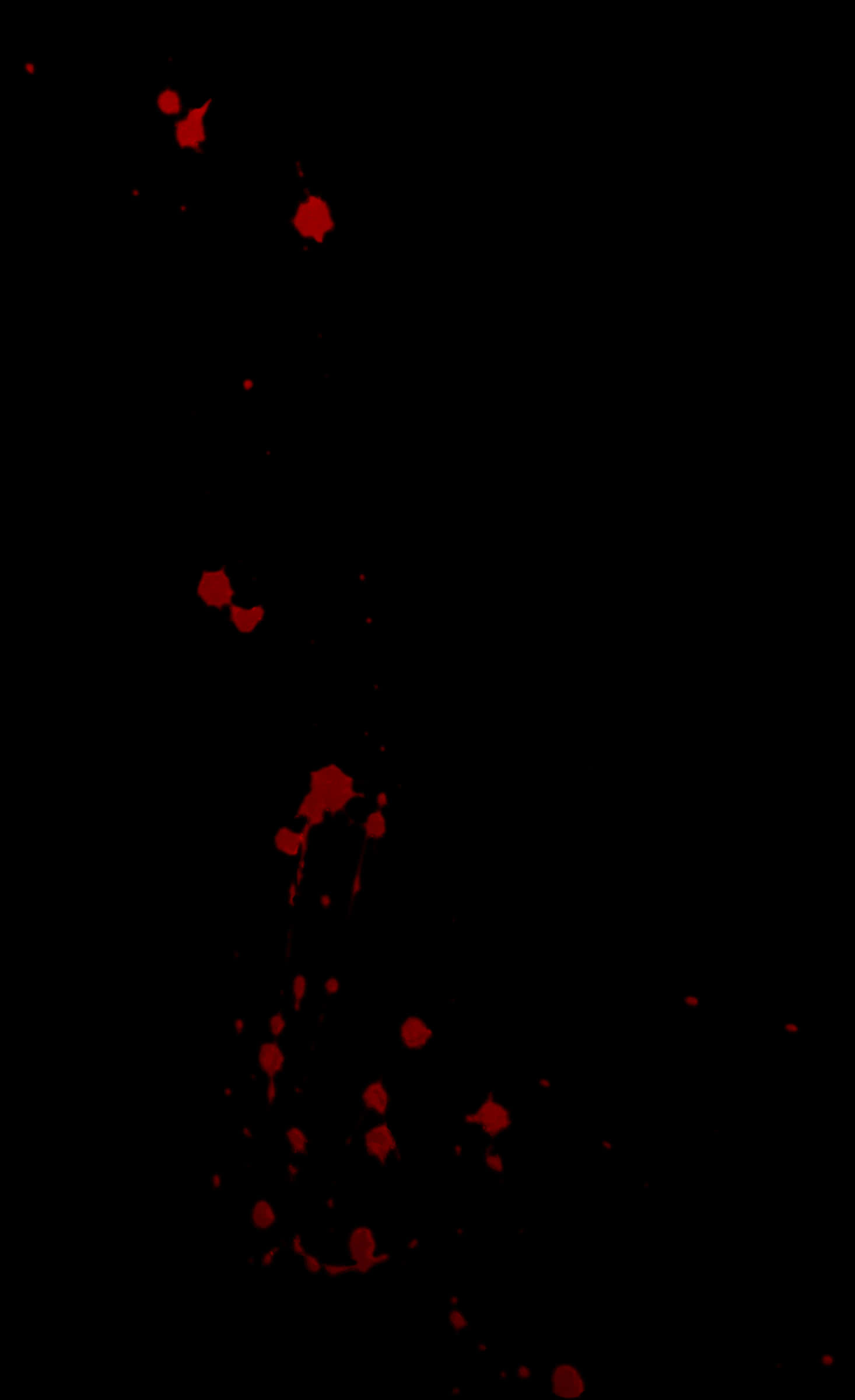 Red Blood Splatteron Black Background