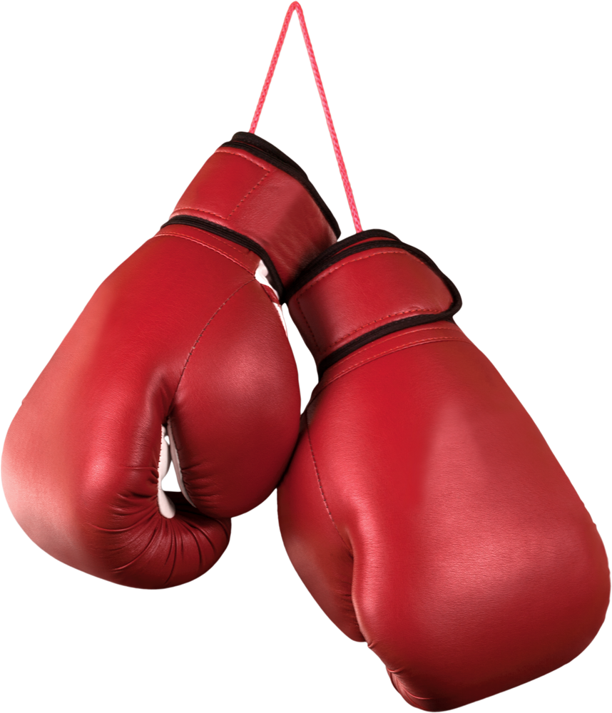 Red Boxing Gloves Hanging