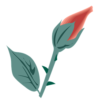 Red Bud Flower Illustration