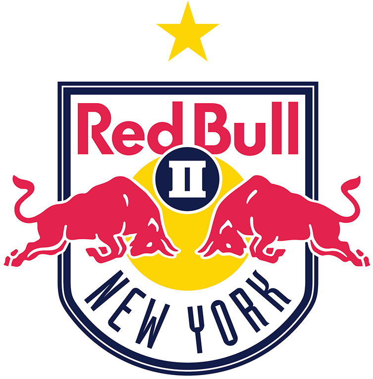 Red Bull New York Logo